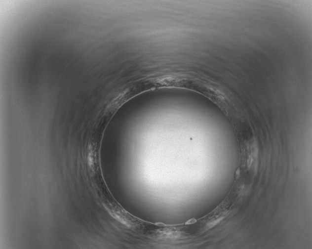 X0000059240284200510211611