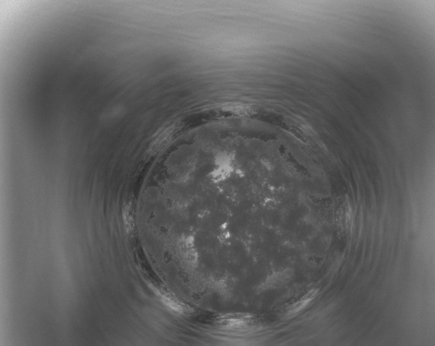 X0000059240285200510211611