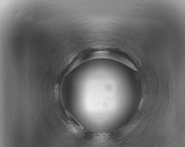 X0000059240288200510211611