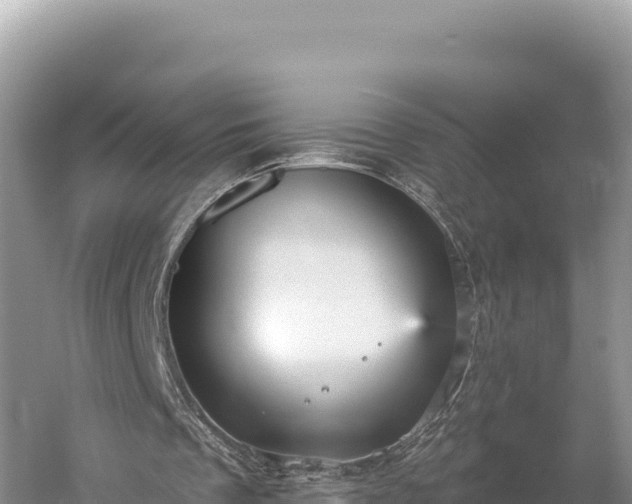 X0000059240289200510211610