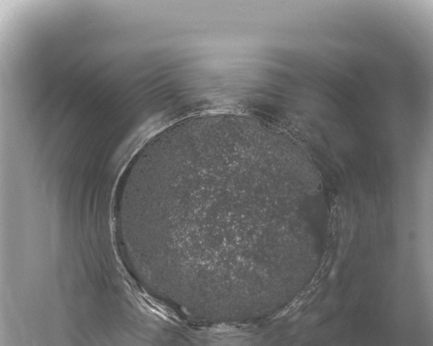 X0000059240290200510211610