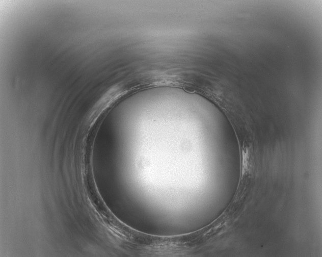 X0000059240291200510211610