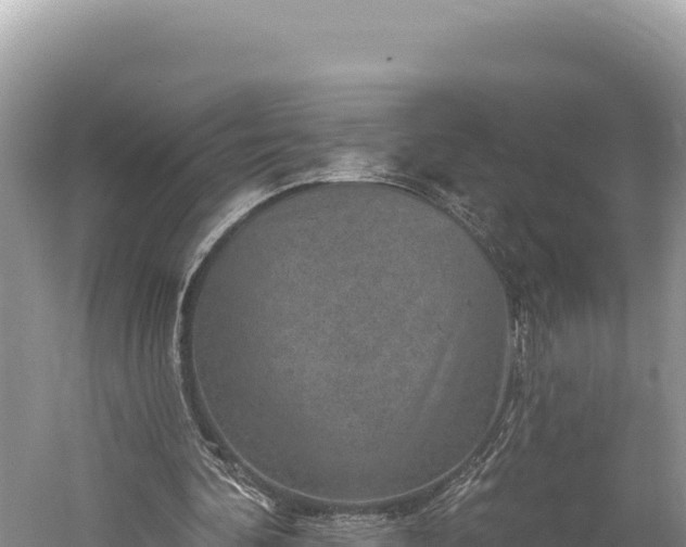 X0000059240292200510211610