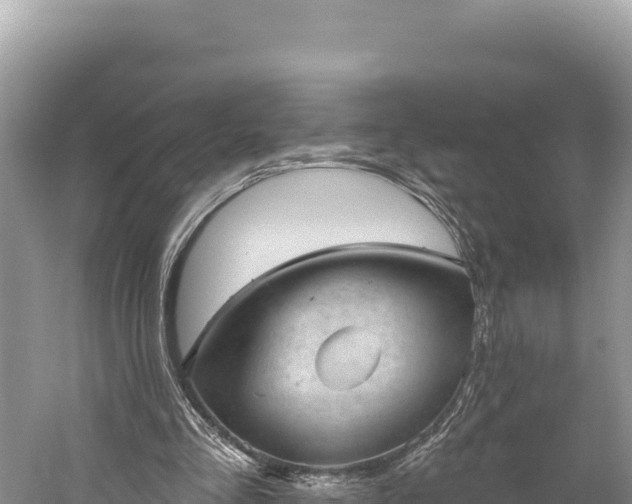 X0000059240293200510211610