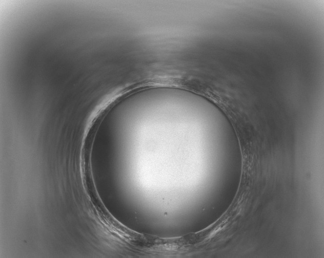 X0000059240294200510211610