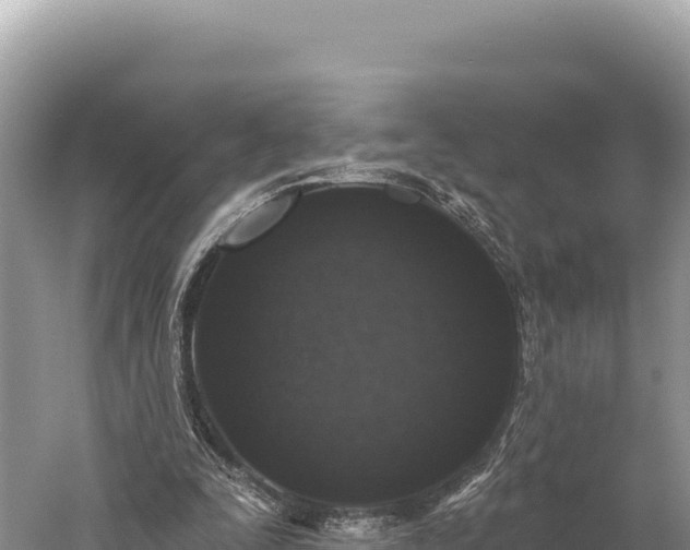 X0000059240295200510211610