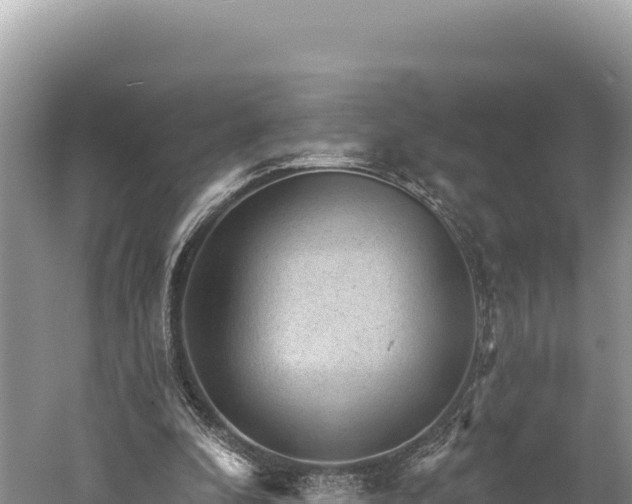 X0000059240296200510211610