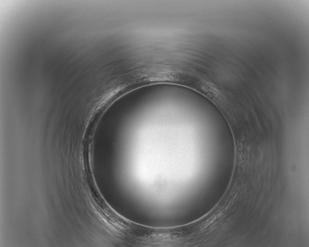 X0000059240298200510211610