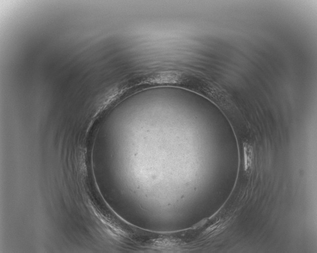 X0000059240300200510211610