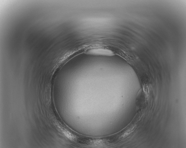 X0000059240301200510211610