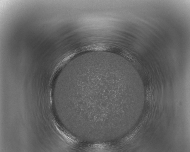 X0000059240302200510211610