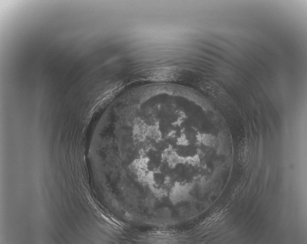 X0000059240303200510211610