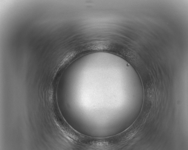 X0000059240304200510211609