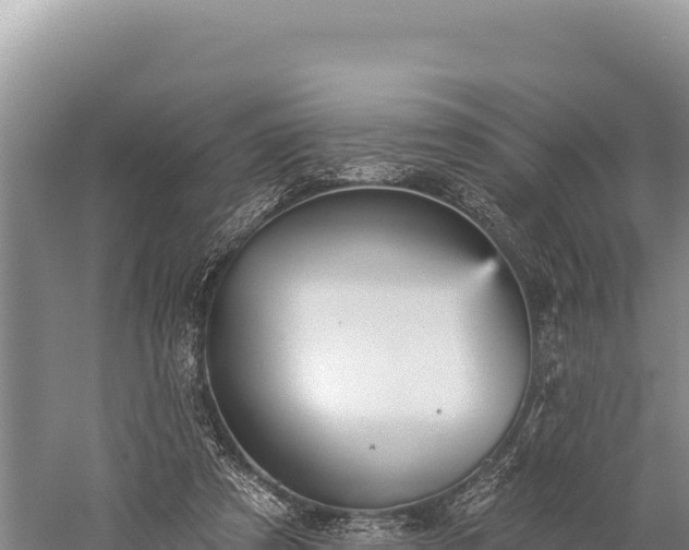 X0000059240305200510211609