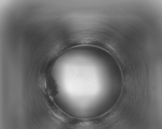 X0000059240307200510211609