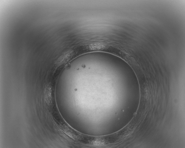 X0000059240308200510211609