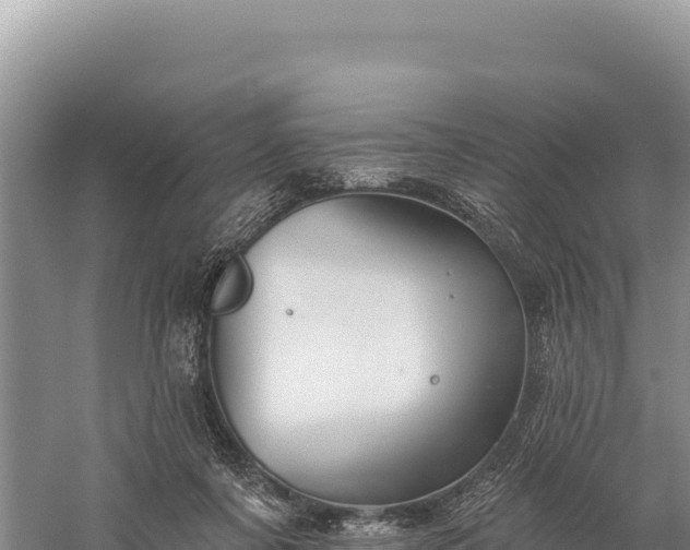 X0000059240311200510211609