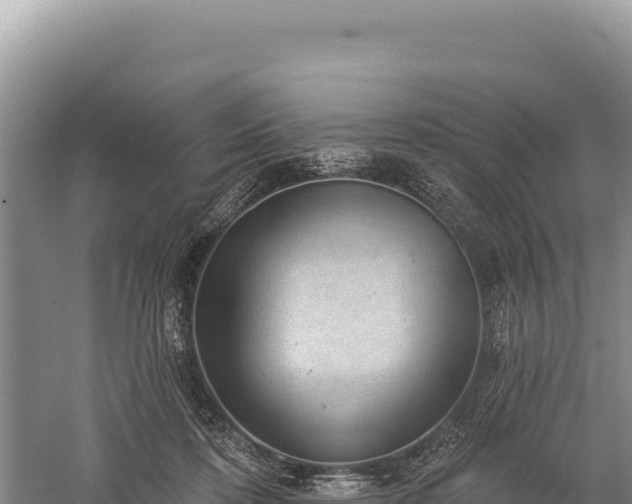 X0000059240316200510211609