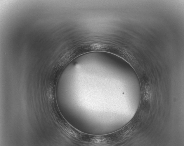 X0000059240317200510211609