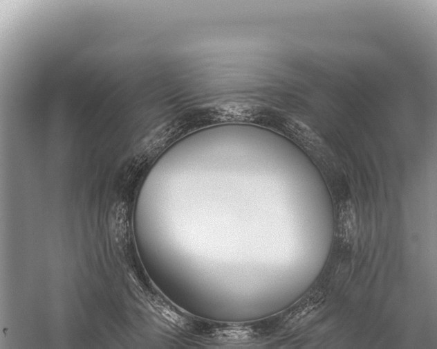 X0000059240318200510211609