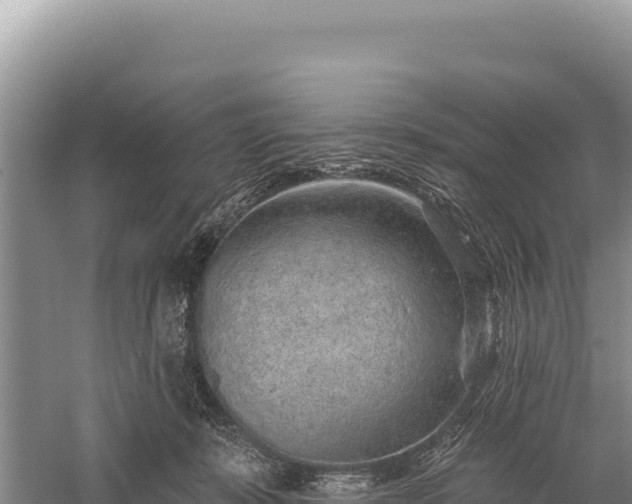 X0000059240319200510211609