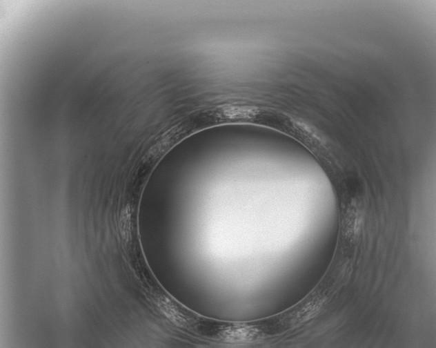 X0000059240321200510211609