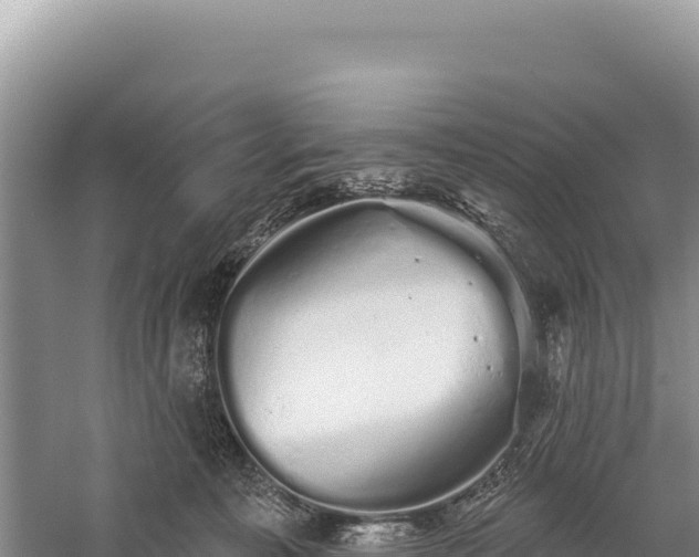 X0000059240323200510211609