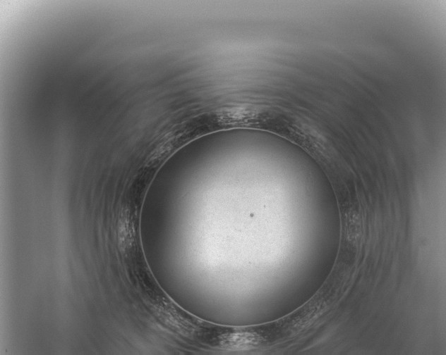 X0000059240324200510211609