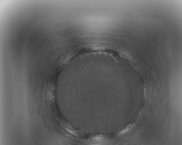 X0000059240325200510211609