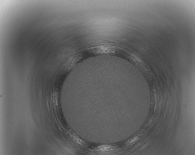 X0000059240326200510211609