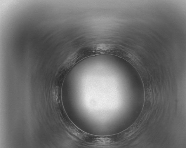 X0000059240328200510211609