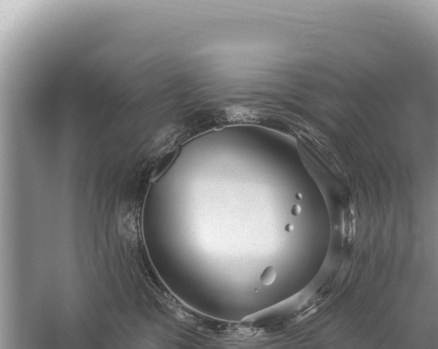 X0000059240329200510211609