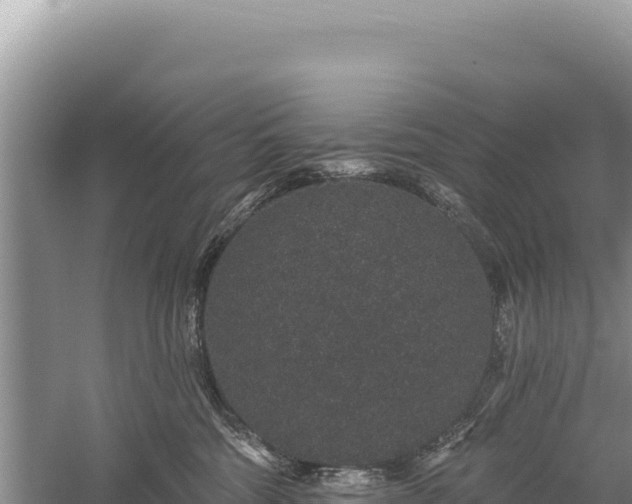 X0000059240330200510211609