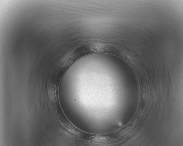 X0000059240332200510211609