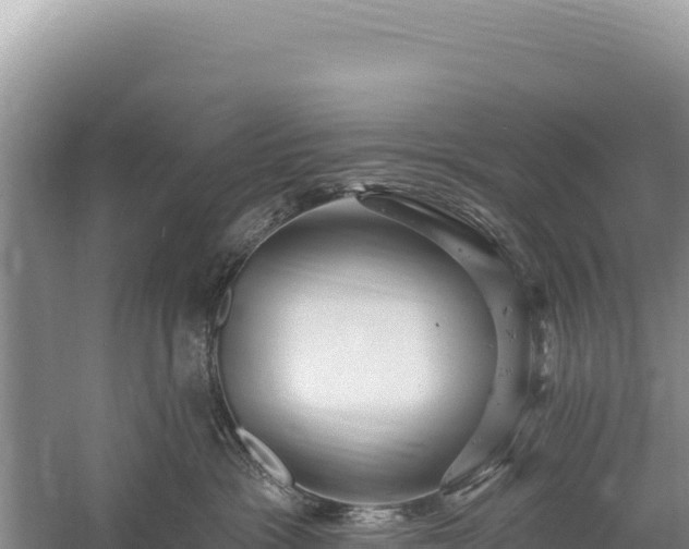 X0000059240333200510211609