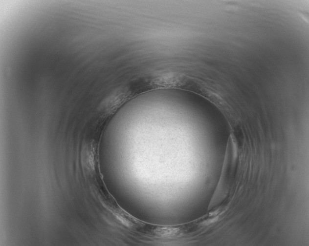 X0000059240334200510211609