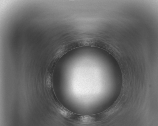 X0000059240336200510211609