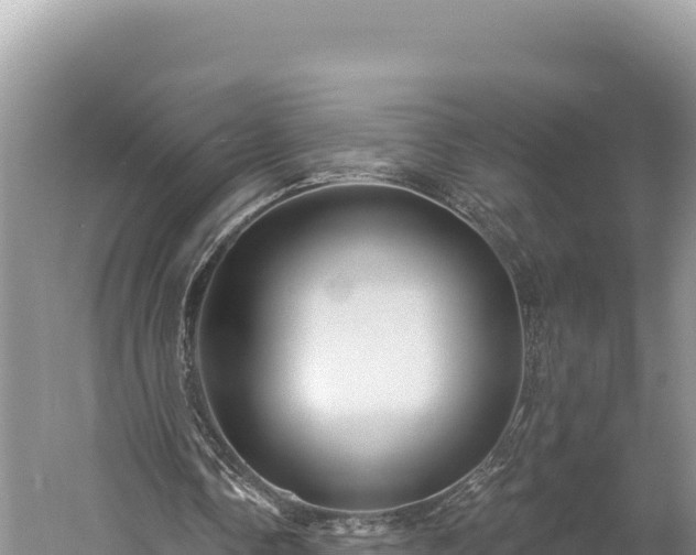 X0000059240338200510211608