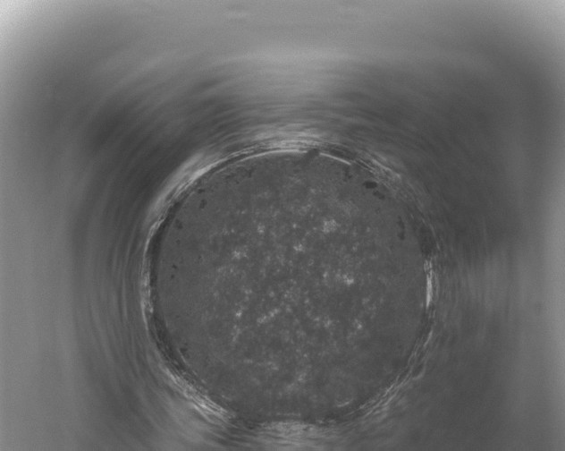 X0000059240339200510211608