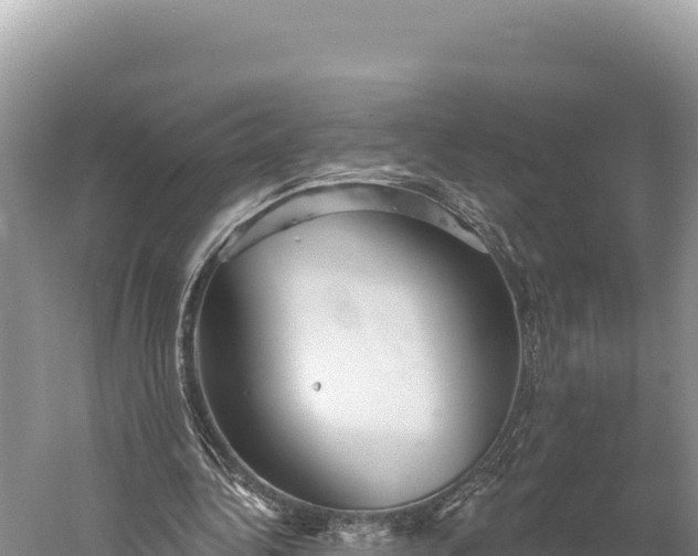 X0000059240340200510211608