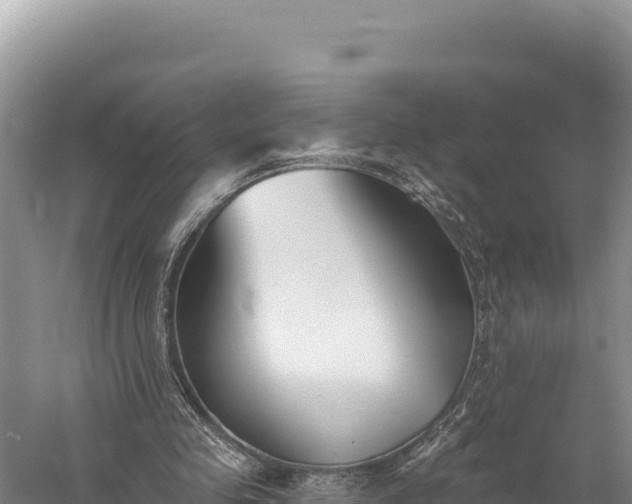 X0000059240341200510211608