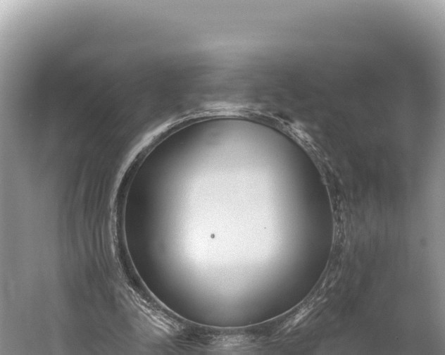 X0000059240342200510211608