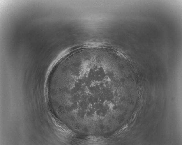 X0000059240343200510211608