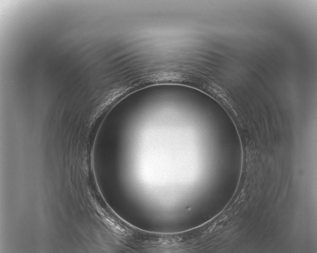 X0000059240345200510211608