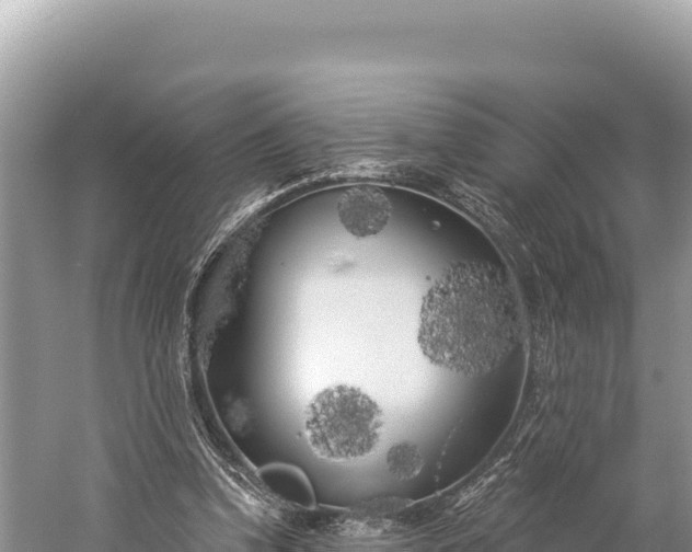 X0000059240346200510211608