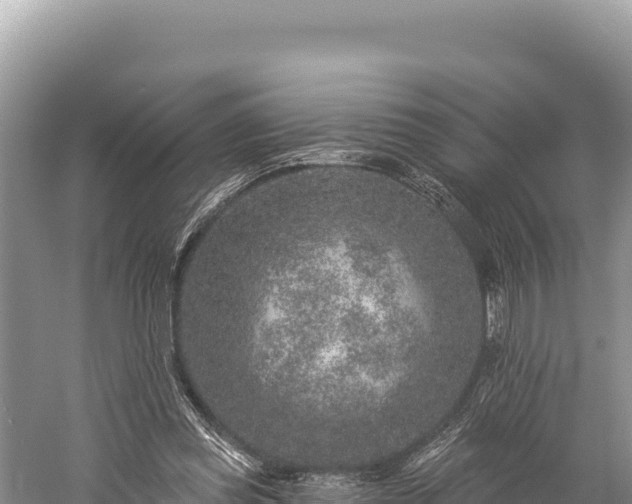 X0000059240349200510211608