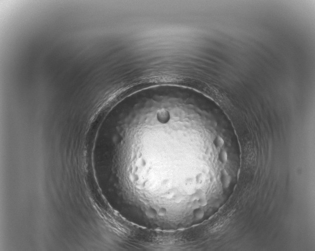 X0000059240351200510211608