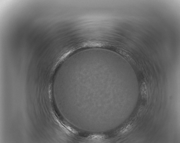 X0000059240352200510211608