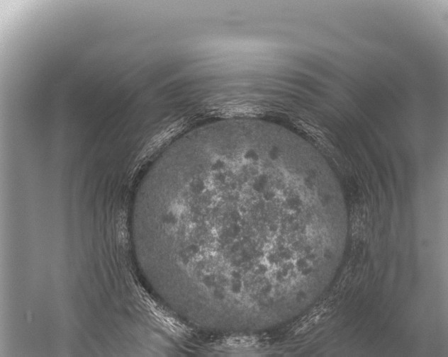 X0000059240353200510211608