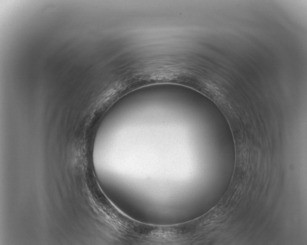 X0000059240354200510211608